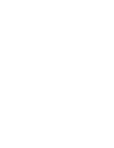 Fohhn Logo
