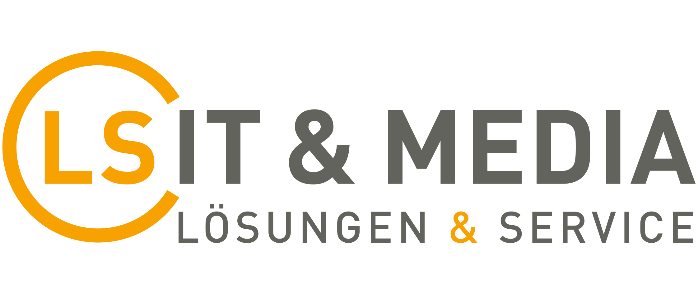 LS IT MEDIA LOGO